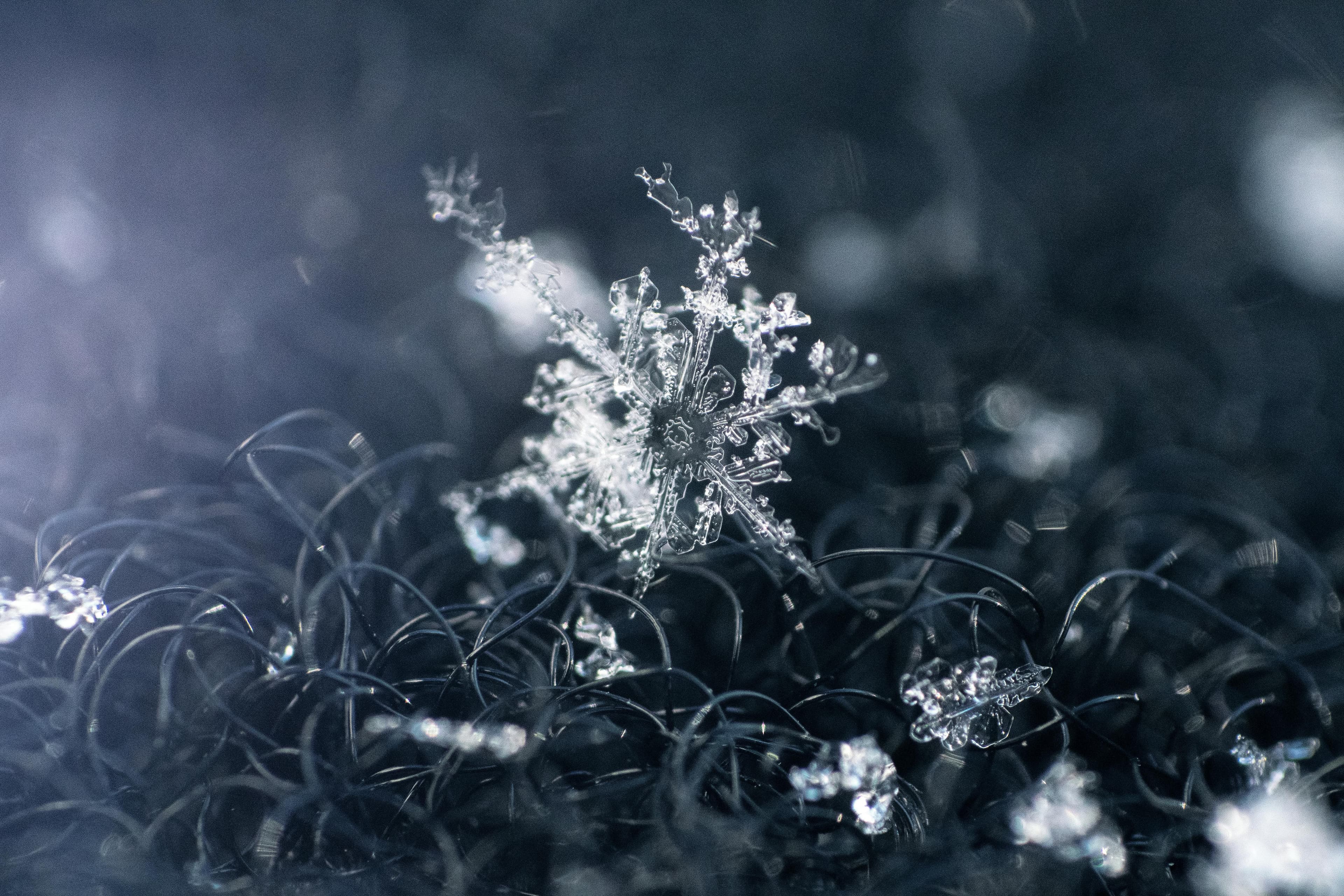 Snowflake Background